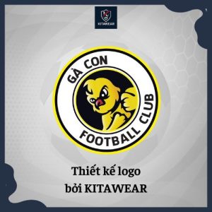 logo áo bóng đá3